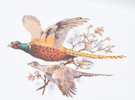 Alföldi fácánmintás süteményes készlet, teljes, matricás, jelzéssel, minimális kopással, h: 36 cm, d...