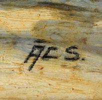 Ács Ferenc (1876-1949): Hója-erdő (Kolozsvár). Olaj, karton. Jelezve jobbra lent. Hátoldalán román k...