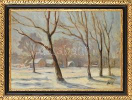 Ács Ferenc (1876-1949): Hója-erdő (Kolozsvár). Olaj, karton. Jelezve jobbra lent. Hátoldalán román k...