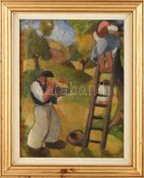 Simon Béla (1910-1980): Almaszedés. Olaj, vászon, jelezve balra lent. Hátoldalán román kiviteli bély...
