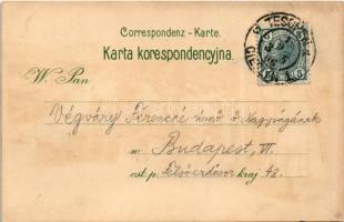 1906 Cieszyn, Teschen; Wiejska dziewczyna / Folklore. Edw. Feitzinger No. 501. p. Art Nouveau litho ...