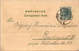 1906 Cesky Tesín, Teschen; Demlovo namestí, Arcikníz zamek s mostem, selka / square, castle and brid...