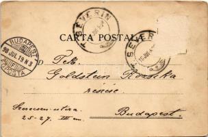 1898 (Vorläufer) Turnu Severin, Szörényvár; Hotel Regal, Lyceul Trajan, Un Taran si o Taranca / scho...