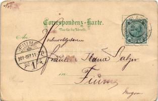 1901 Ondrásov, Andersdorf-Sauerbrunn (Bärn, Moravsky Beroun); Maria Theresia Quelle, K.k. Post / rai...