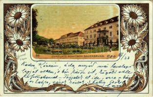 1900 Rogaska Slatina, Rohitsch-Sauerbrunn; Curplatz / sanatorium park. Art Nouveau, floral litho (EB)