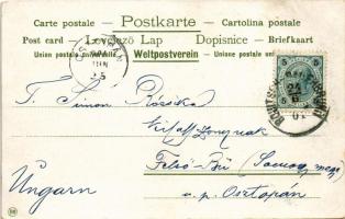 1900 Rogaska Slatina, Rohitsch-Sauerbrunn; Curplatz / sanatorium park. Art Nouveau, floral litho (EB...