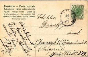 1907 Rogaska Slatina, Rohitsch-Sauerbrunn; Curplatz / sanatorium park. Art Nouveau, floral litho (EB...