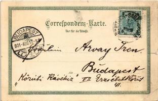 1901 Rogaska Slatina, Rohitsch-Sauerbrunn; Curplatz / sanatorium park. Ottmar Zieher Art Nouveau, fl...