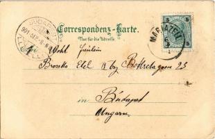 1901 Mariazell, Heiligenbrun / night. Hans Nachbargauer Art Nouveau, floral, litho (EK)