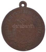 DN "Sárkányölő Szent György" kétoldalas bronz emlékérem füllel (34mm) T:XF patina