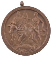 ~1920. "Budapest Székesfőváros Közlekedési Részvénytársaság Sportegyesülete a sport terén elért...