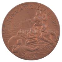 1954. Dunai árvízvédelemért bronz jelvény tű nélkül (37mm) T:XF