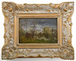 Olvashatatlan jelzéssel: Táj. Olaj, karton. Dekoratív, kissé sérült fakeretben. 19,5×29,5 cm
