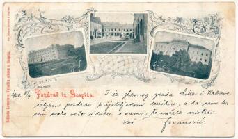 1900 Goszpics, Gospic; Art Nouveau montage, floral (fa)