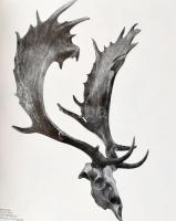 Vadászati Világkiállítás 1971 emlékalbum. Főszerk.: Földes László. Bp., 1972, Corvina. Fekete-fehér ...