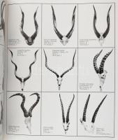 Vadászati Világkiállítás 1971 emlékalbum. Főszerk.: Földes László. Bp., 1972, Corvina. Fekete-fehér ...