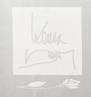 Koncz Zsuzsa összes nagylemeze az Illés együttessel és a Fonográffal, 10 db bakelit hanglemez + köny...