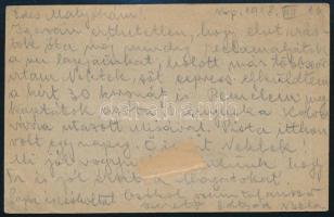 1918.VIII.16. Bp., Károly király gyermeknyaraltatás keretében elküldött tábori posta levelezőlap Abb...