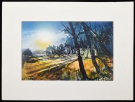 Mezős Béla (1949- ): Erdőszéle (cím nélkül). Akril, karton. Jelzett, a hátoldalon a művész bélyegzőj...