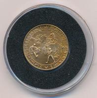 Bognár György (1944-) 1990. "MÉE - Ferencvárosi Torna Club FTC I. - 1899-1909" fényezett, ...