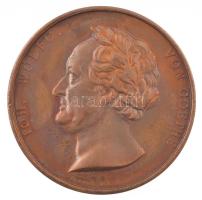 Német Államok / Szászország 1826. Johann Wolfgang von Goethe bronz emlékérem kissé sérült műanyag dísztokban. Szign.: Friedrich Anton König (42,5mm) T:AU,XF patina, karc /  German States / Saxony 1826. IOH. WOLFG. VON GOETHE / MDCCCXXVI bronze medallion in slightly damaged plastic case. Sign.: Friedrich Anton König (42,5mm) C:AU,XF patina, scratch