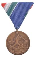 1960. Árvízvédelemért bronz kitüntető jelvény mellszalagon (35mm) T:AU