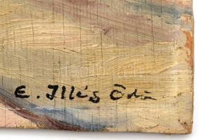 Edvi Illés Ödön (1877-1945): Lussingrande (Veli Losinj). Olaj, rétegelt falemez, jelzett. Hátoldalán...