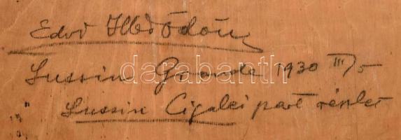 Edvi Illés Ödön (1877-1945): Lussingrande (Veli Losinj). Olaj, rétegelt falemez, jelzett. Hátoldalán...
