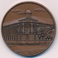 2008. "Kölcsey Ferenc Gimnázium - Nyíregyháza - 1958-2008" kétoldalas bronz emlékérem (42,5mm) T:UNC