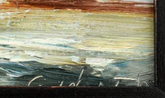 Erdélyi Tibor (1961-): Hó alatt. Olaj, farost. Jelzett )keret által kissé takarva). Hátoldalán címké...