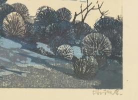 Török Endre (1926-1980): Hófoltos táj. Linómetszet, papír, jelzett. Számozott (100/94). Üvegezett, s...