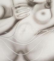 Boros Attila (1971- ): Szenvedély (erotikus rajz). Tus, szén, fedőfehér, papír. Jelezve jobbra lent....