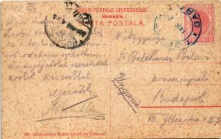 1908 Turnu Severin, Szörényvár; Casele Aurel din Parcul Tudor Vladimirescu, Bereria, Bere Azuga, Res...