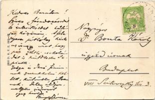 1916 Szinye, Svinia (Eperjes, Presov); Klasszicista kúria, kastély / castle villa (fa)