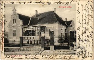 1904 Eperjes, Presov; Divald villa. Fénynyomat Divald műintézetéből / castle (EK)