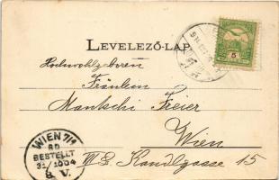 1904 Eperjes, Presov; Divald villa. Fénynyomat Divald műintézetéből / castle (EK)