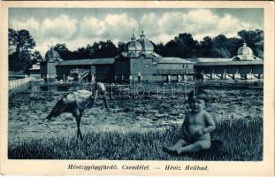 1941 Hévízgyógyfürdő, csendélet montázs gólyával és kisbabával (fa)