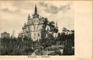 Budapest X. Kőbánya, Dreher Villa a sörgyárban