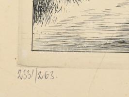 Rozanits Tibor (1931-): Gyulai vár. Rézkarc, papír, jelzett. Kartonra kasírozva. Lap széle kissé fol...