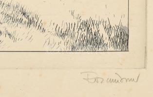 Rozanits Tibor (1931-): Gyulai vár. Rézkarc, papír, jelzett. Kartonra kasírozva. Lap széle kissé fol...