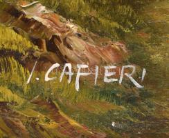 I Cafieri jelzéssel: Vízparti romantikus táj. Olaj, vászon, dekoratív fakeretben, 50×61 cm