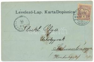 1900 Ogulin, Gjulin Skok / general view, cave. H. Krapek Art Nouveau, floral (fl)