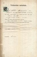 1875 Budapesti Ág. Hitv. Ev. Főgymnasium (Deák Téri Evangélikus Gimnázium) érettségi bizonyítványa, ...