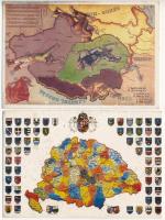 5 db MODERN reprint irredenta képeslap