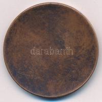 DN "Dr. Batthyány-Strattmann László" egyoldalas bronz emlékérem (42mm) T:AU