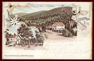 1899 Hinterbrühl Restaurant Litho