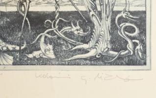 Kolozsvári Grandpierre Miklós (1950- ): Csigalovász. Színes rézkarc, papír. Jelzett. Törésnyommal, l...