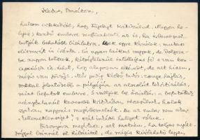 1938 Hajnal István (1892-1956) Széchenyi-díjas történész saját kézzel írt levele képeslapon, saját k...
