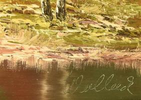 Olvashatatlan (Wolleck?) jelzéssel: Vízparti táj. Olaj, vászon. Dekoratív fakeretben. 50x100 cm KIZÁ...
