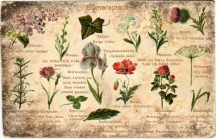 Blumensprache / Virágnyelv / Flower language. litho (vágott / cut)